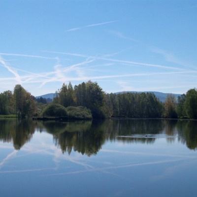 十堰地产网截图